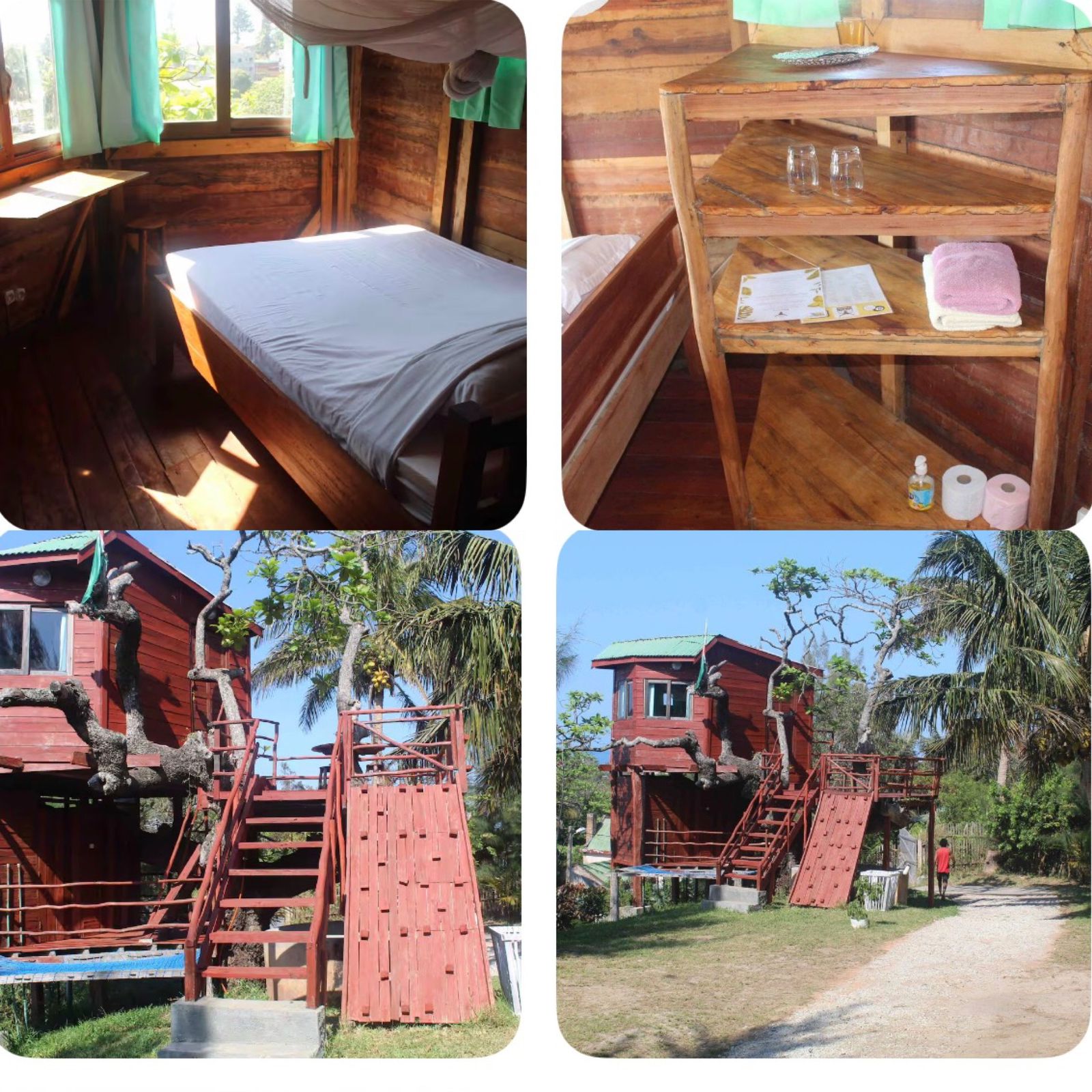 Robson's Tree house